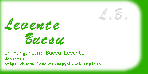 levente bucsu business card